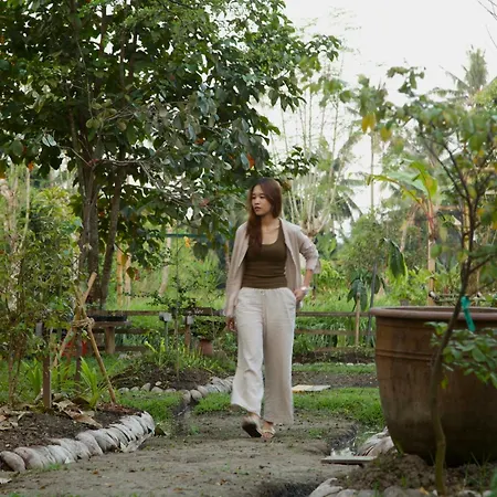 Ardan Maison The Garden Villas