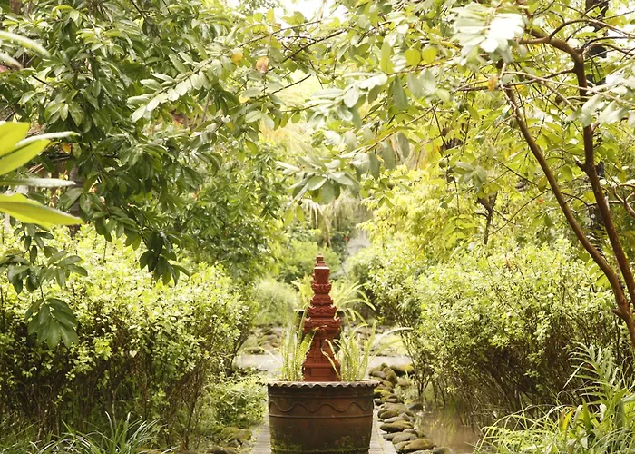 Ardan Maison The Garden