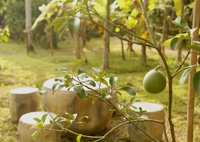 Ardan Maison The Garden 3* أوبود