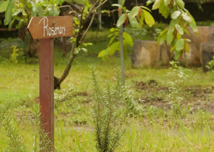 Ardan Maison The Garden 3*