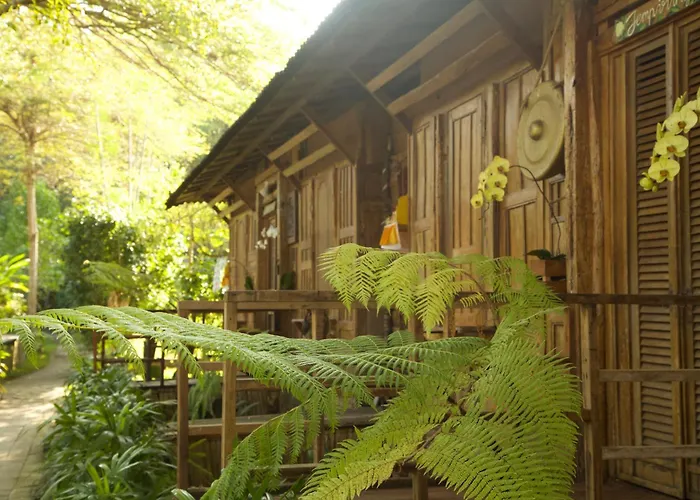 Ardan Maison The Garden